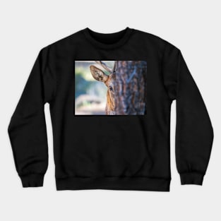 The Watcher Crewneck Sweatshirt